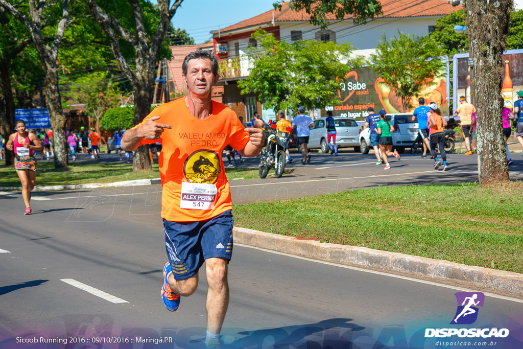 Sicoob Running: Prova Terezinha Guilhermina 2016