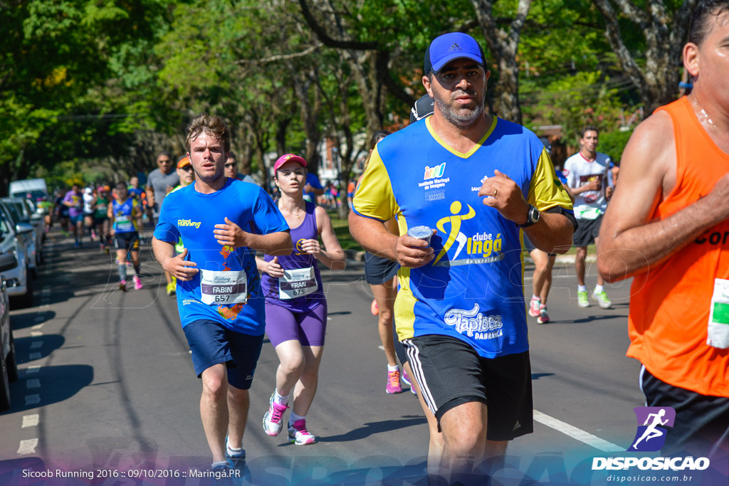 Sicoob Running: Prova Terezinha Guilhermina 2016