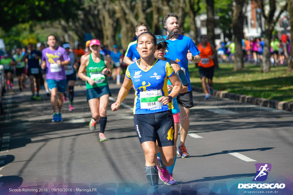 Sicoob Running: Prova Terezinha Guilhermina 2016