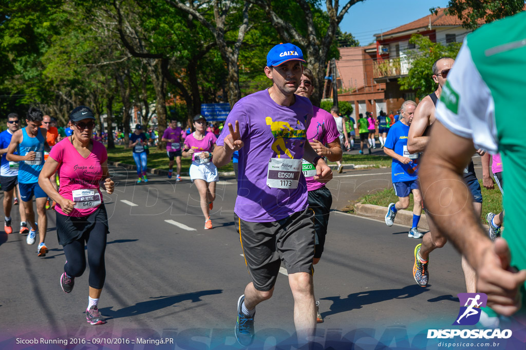 Sicoob Running: Prova Terezinha Guilhermina 2016