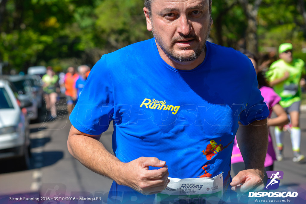 Sicoob Running: Prova Terezinha Guilhermina 2016