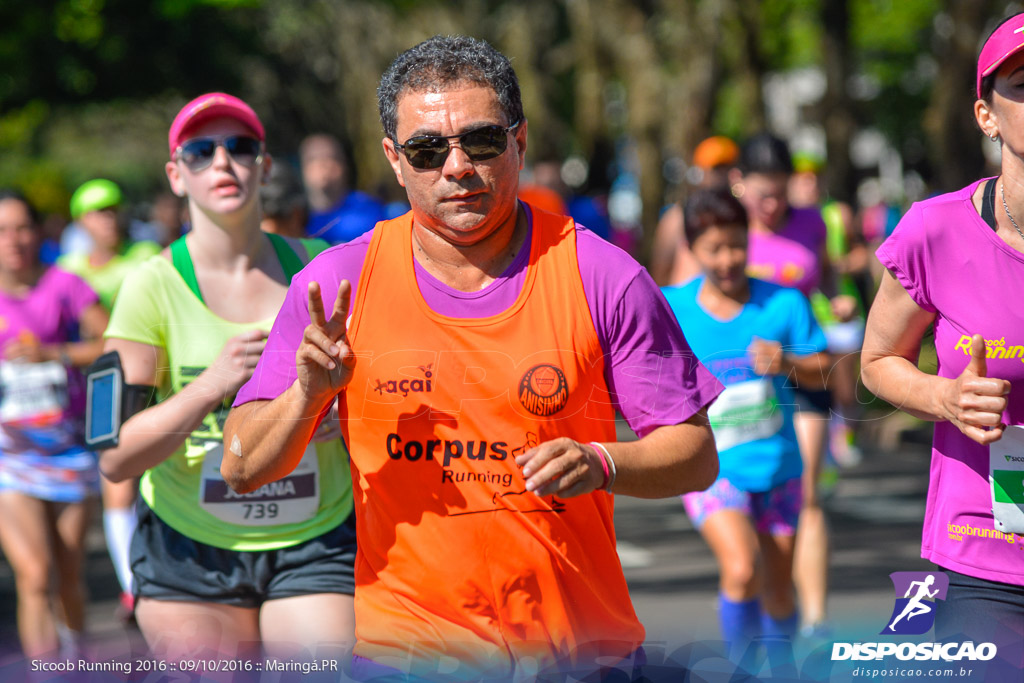 Sicoob Running: Prova Terezinha Guilhermina 2016