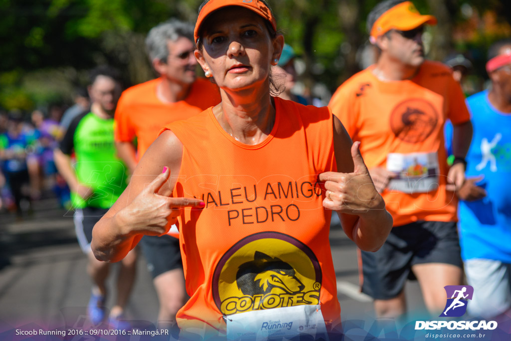 Sicoob Running: Prova Terezinha Guilhermina 2016