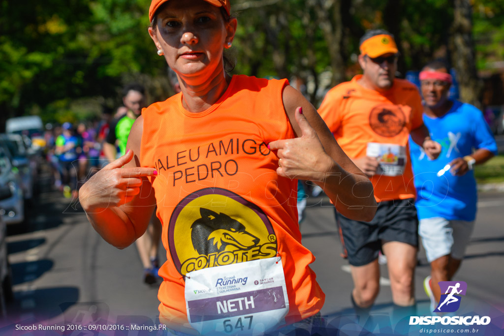 Sicoob Running: Prova Terezinha Guilhermina 2016