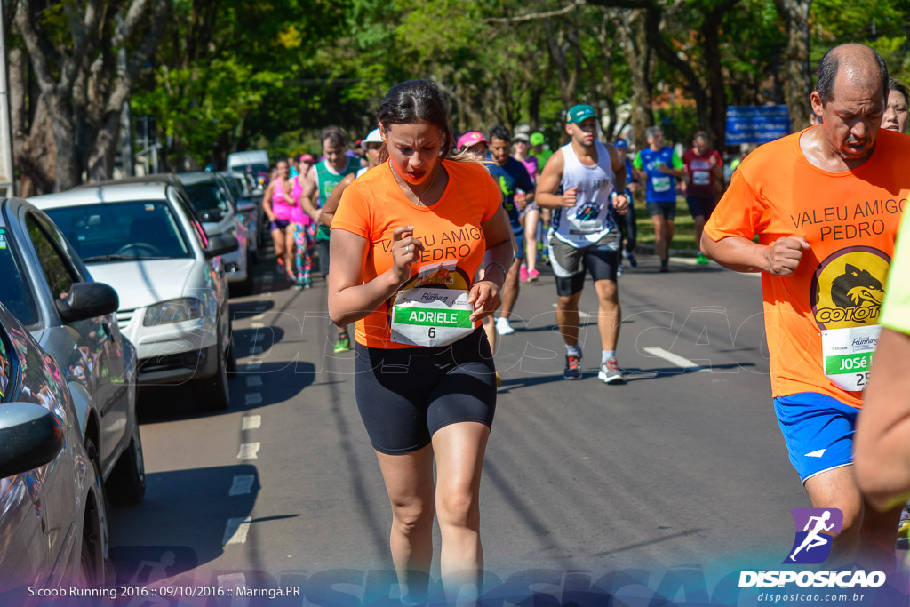 Sicoob Running: Prova Terezinha Guilhermina 2016