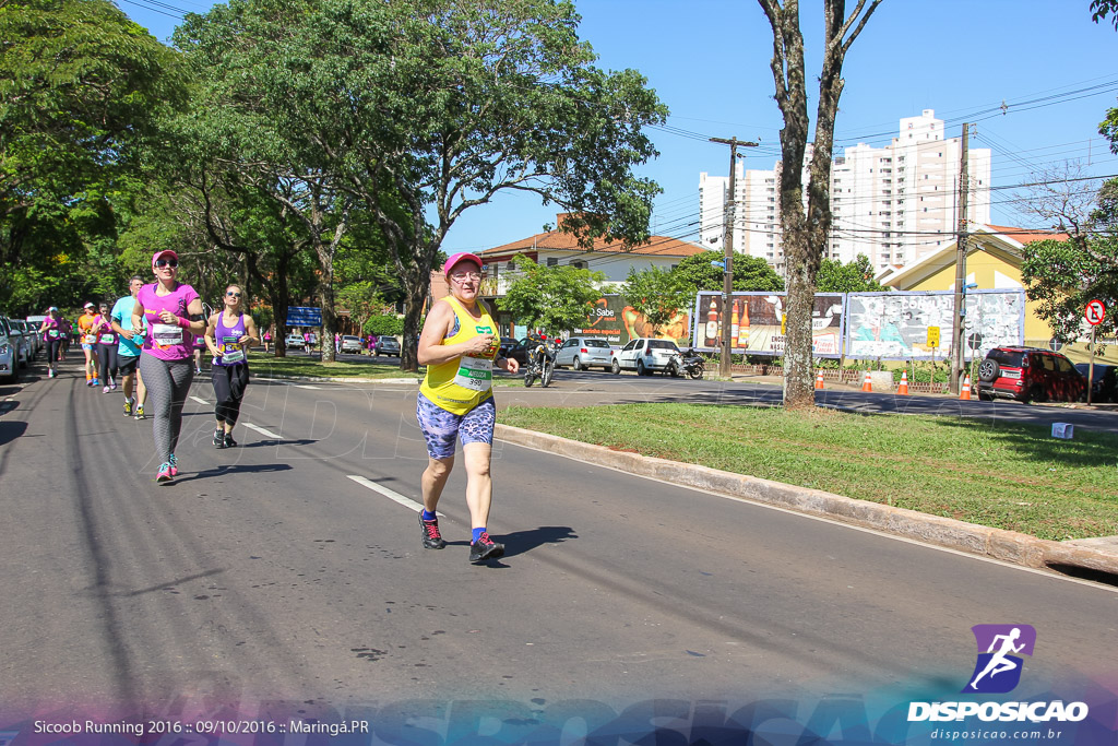 Sicoob Running: Prova Terezinha Guilhermina 2016