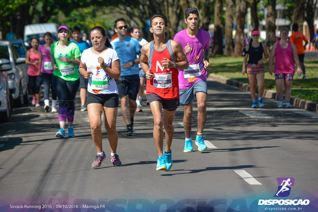 Sicoob Running: Prova Terezinha Guilhermina 2016