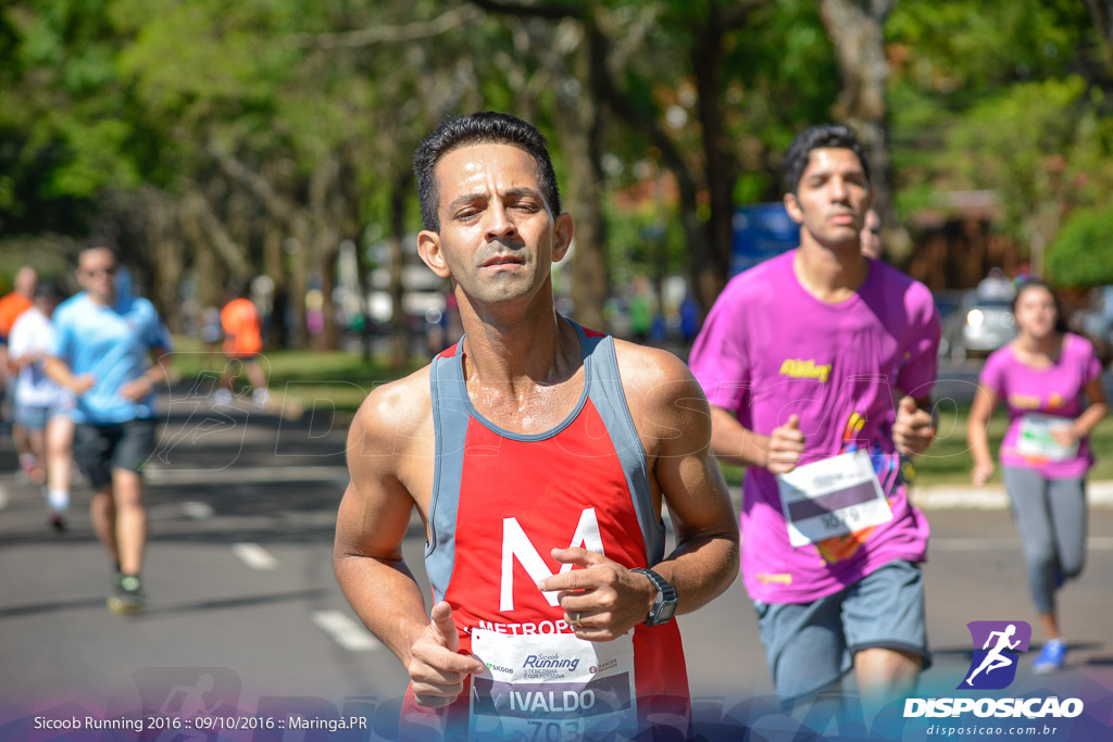 Sicoob Running: Prova Terezinha Guilhermina 2016