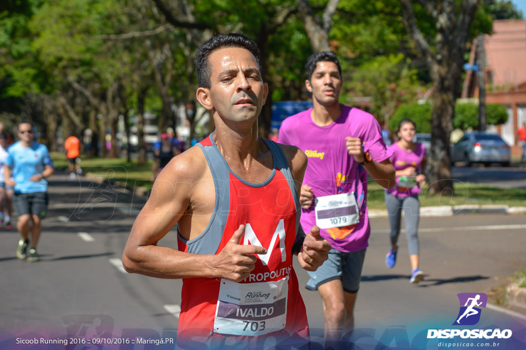 Sicoob Running: Prova Terezinha Guilhermina 2016