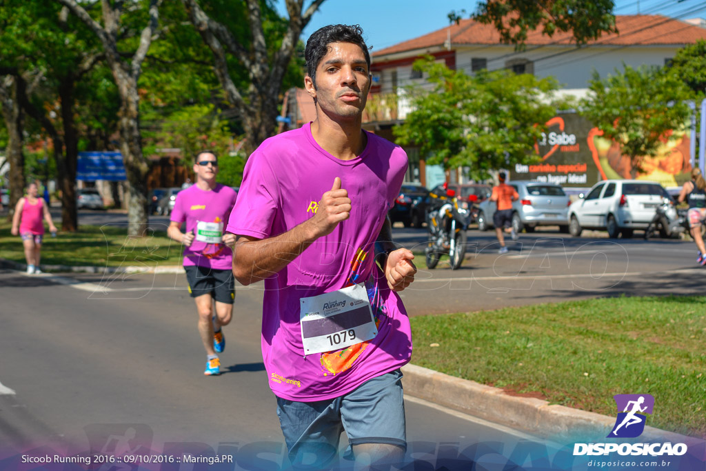 Sicoob Running: Prova Terezinha Guilhermina 2016