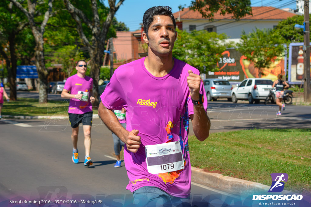 Sicoob Running: Prova Terezinha Guilhermina 2016