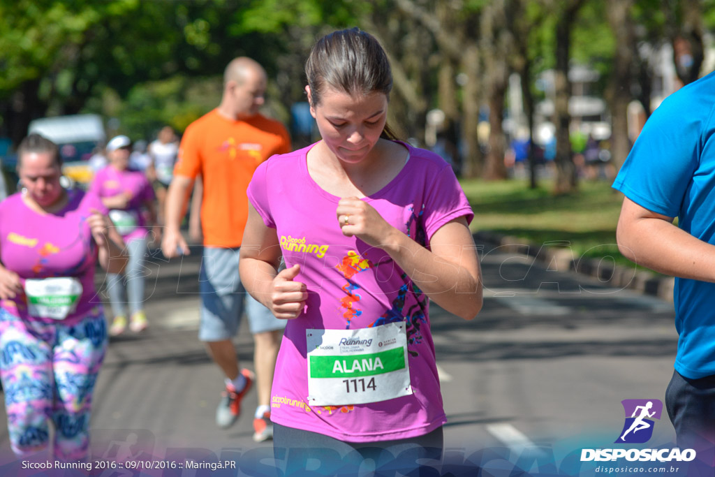 Sicoob Running: Prova Terezinha Guilhermina 2016