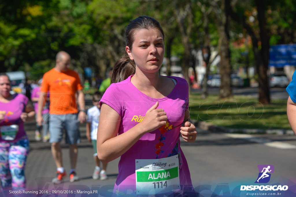 Sicoob Running: Prova Terezinha Guilhermina 2016