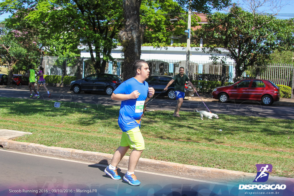 Sicoob Running: Prova Terezinha Guilhermina 2016