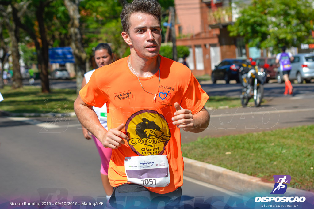 Sicoob Running: Prova Terezinha Guilhermina 2016