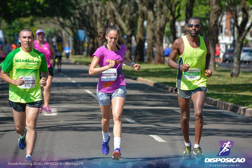 Sicoob Running: Prova Terezinha Guilhermina 2016