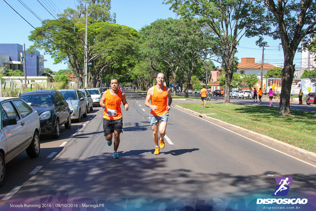 Sicoob Running: Prova Terezinha Guilhermina 2016