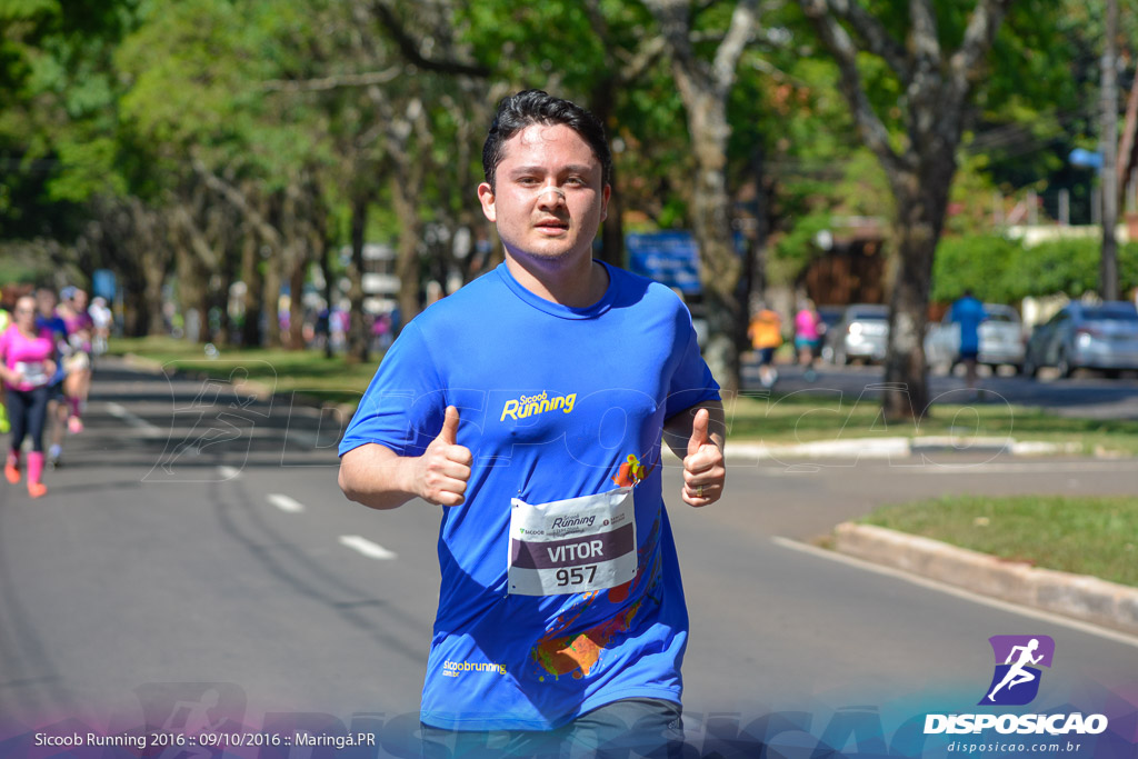 Sicoob Running: Prova Terezinha Guilhermina 2016