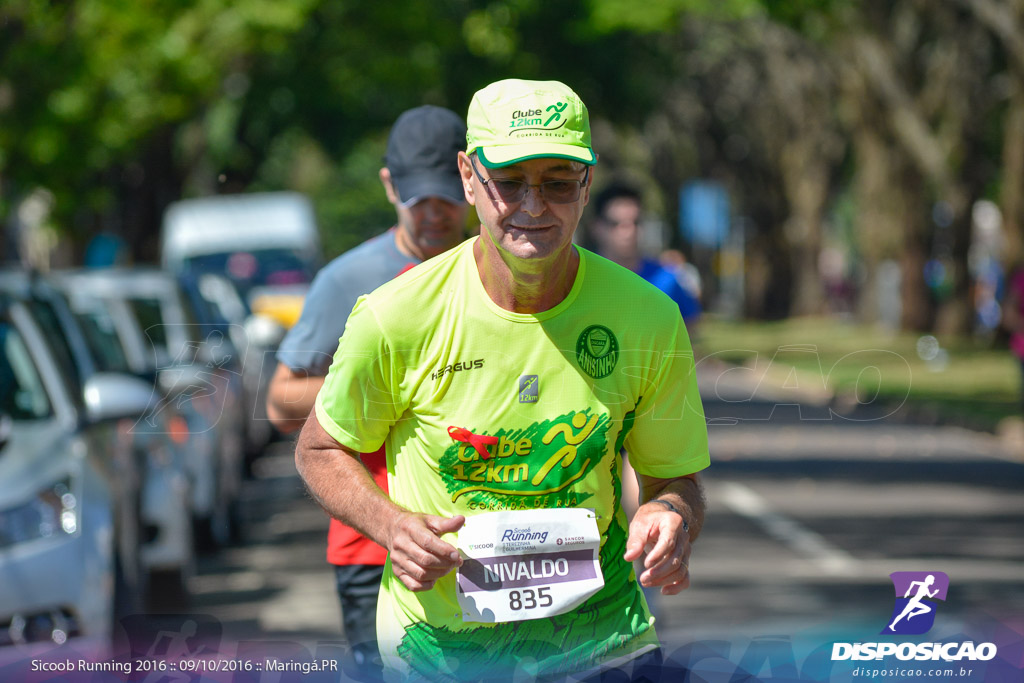 Sicoob Running: Prova Terezinha Guilhermina 2016