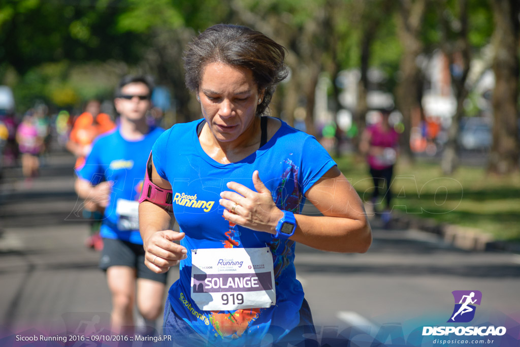 Sicoob Running: Prova Terezinha Guilhermina 2016