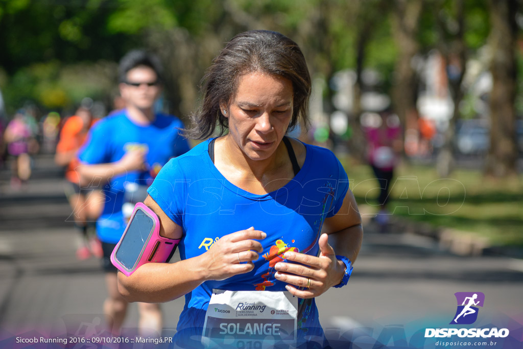 Sicoob Running: Prova Terezinha Guilhermina 2016