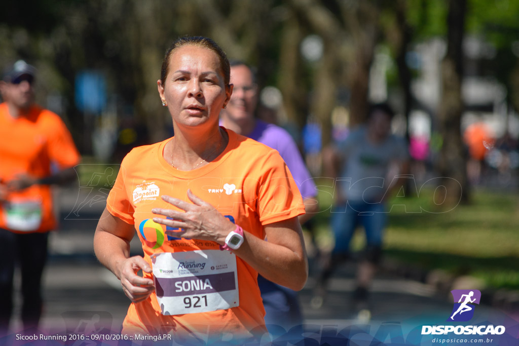 Sicoob Running: Prova Terezinha Guilhermina 2016