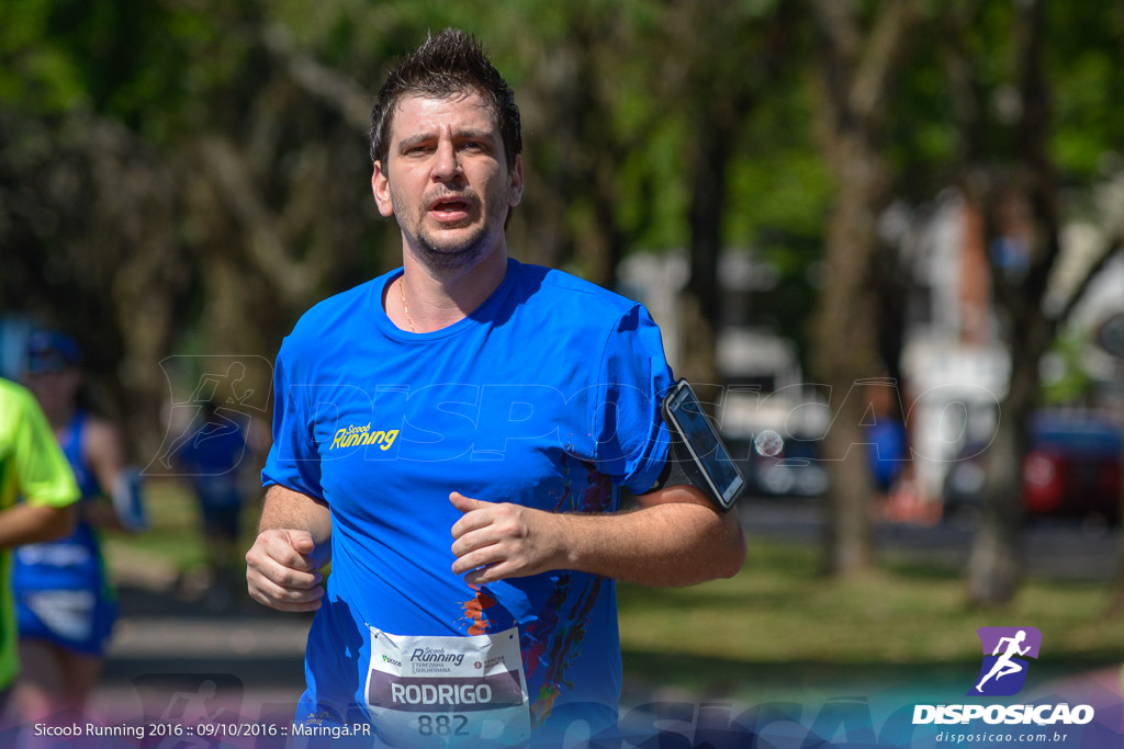 Sicoob Running: Prova Terezinha Guilhermina 2016