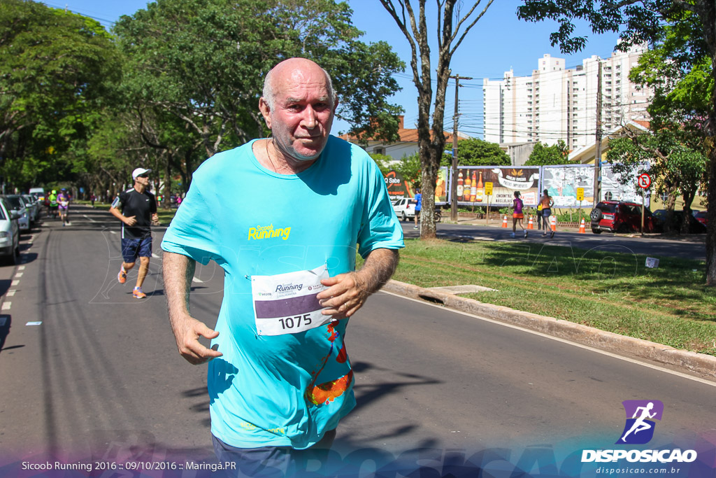 Sicoob Running: Prova Terezinha Guilhermina 2016