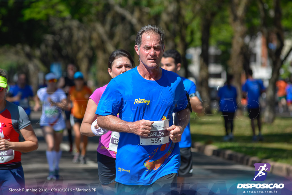 Sicoob Running: Prova Terezinha Guilhermina 2016