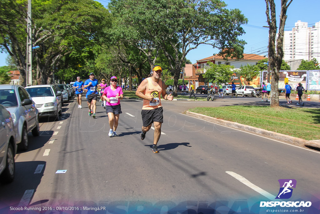 Sicoob Running: Prova Terezinha Guilhermina 2016