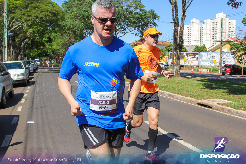 Sicoob Running: Prova Terezinha Guilhermina 2016