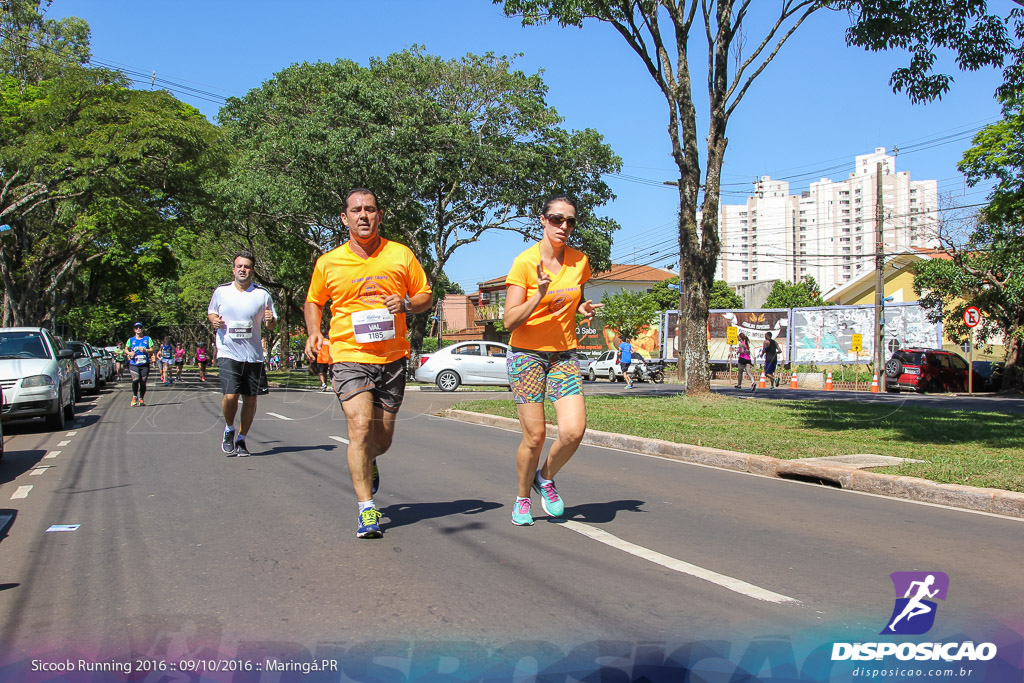 Sicoob Running: Prova Terezinha Guilhermina 2016