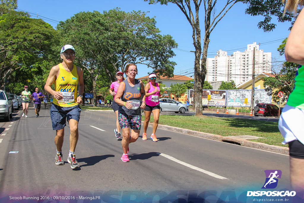 Sicoob Running: Prova Terezinha Guilhermina 2016