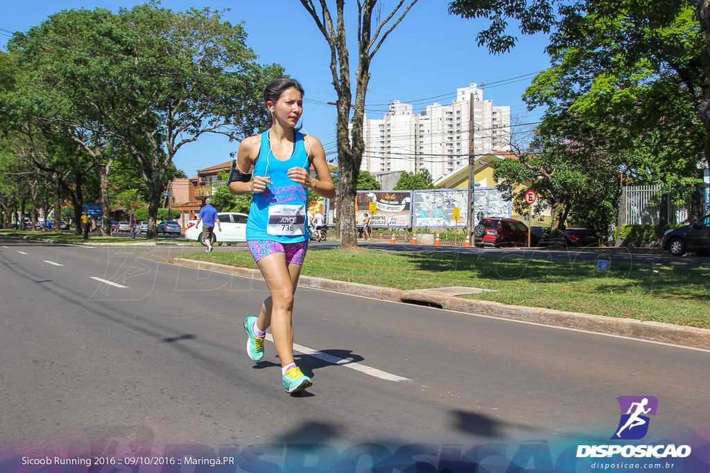 Sicoob Running: Prova Terezinha Guilhermina 2016