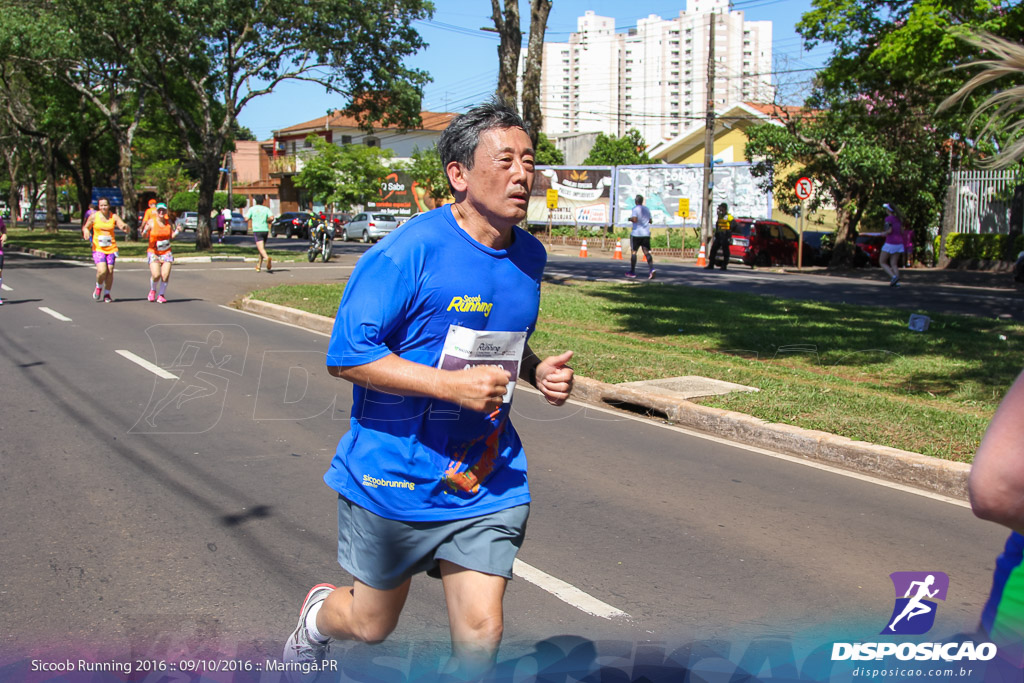 Sicoob Running: Prova Terezinha Guilhermina 2016