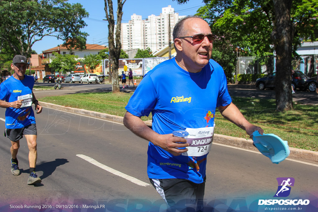 Sicoob Running: Prova Terezinha Guilhermina 2016