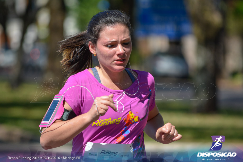 Sicoob Running: Prova Terezinha Guilhermina 2016