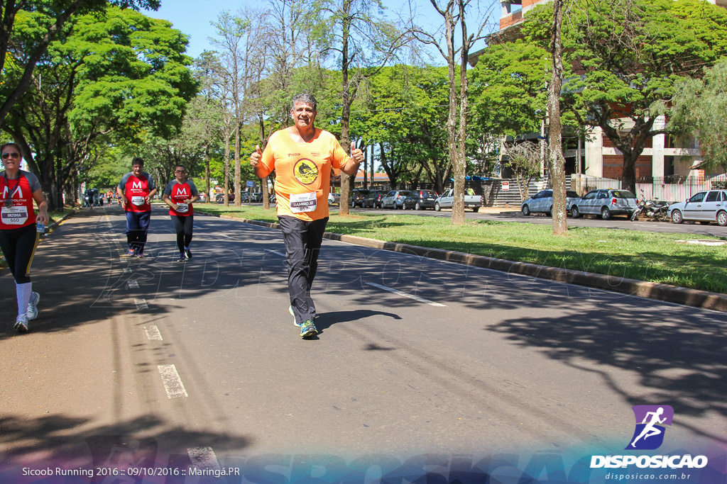 Sicoob Running: Prova Terezinha Guilhermina 2016