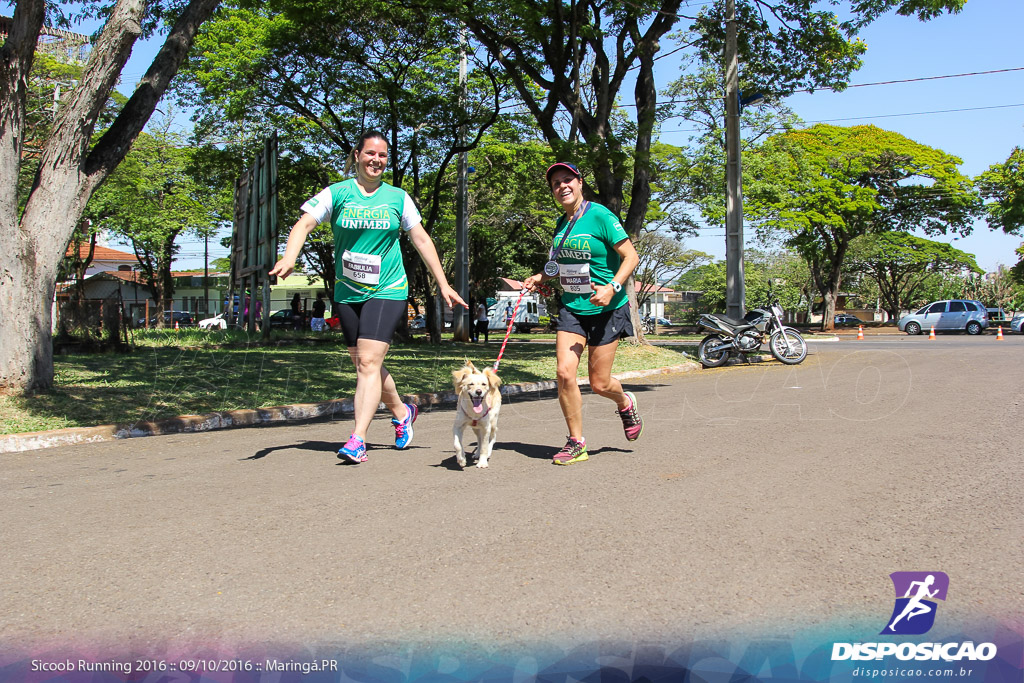 Sicoob Running: Prova Terezinha Guilhermina 2016