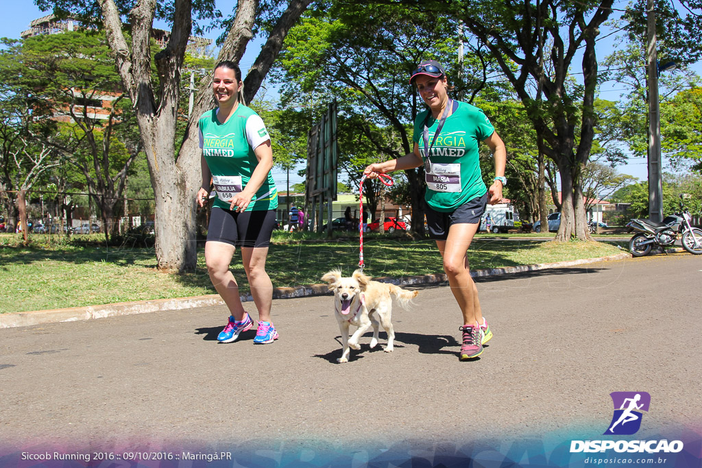 Sicoob Running: Prova Terezinha Guilhermina 2016