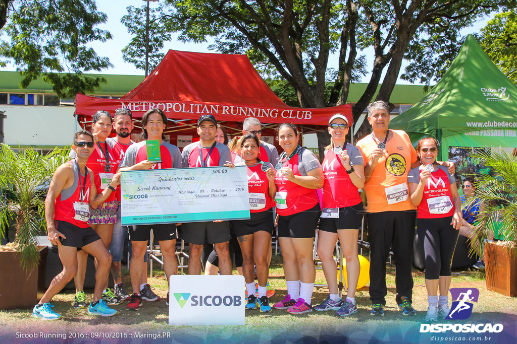 Sicoob Running: Prova Terezinha Guilhermina 2016