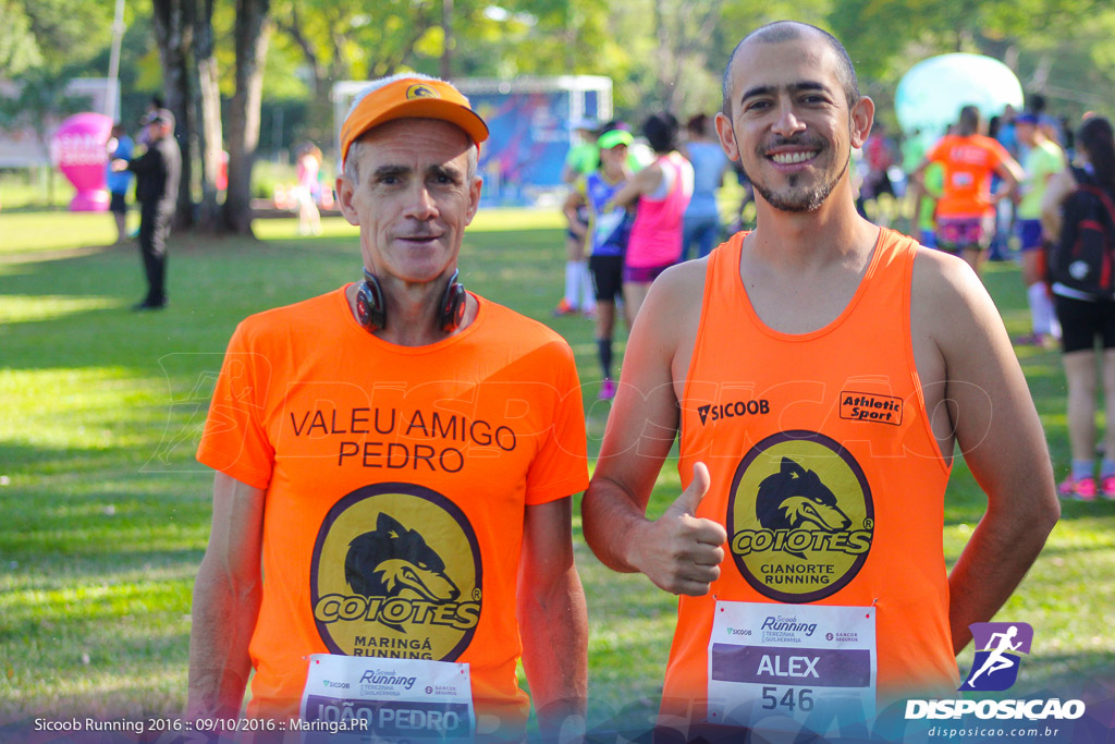 Sicoob Running: Prova Terezinha Guilhermina 2016