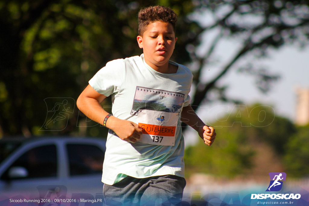 Sicoob Running: Prova Terezinha Guilhermina 2016