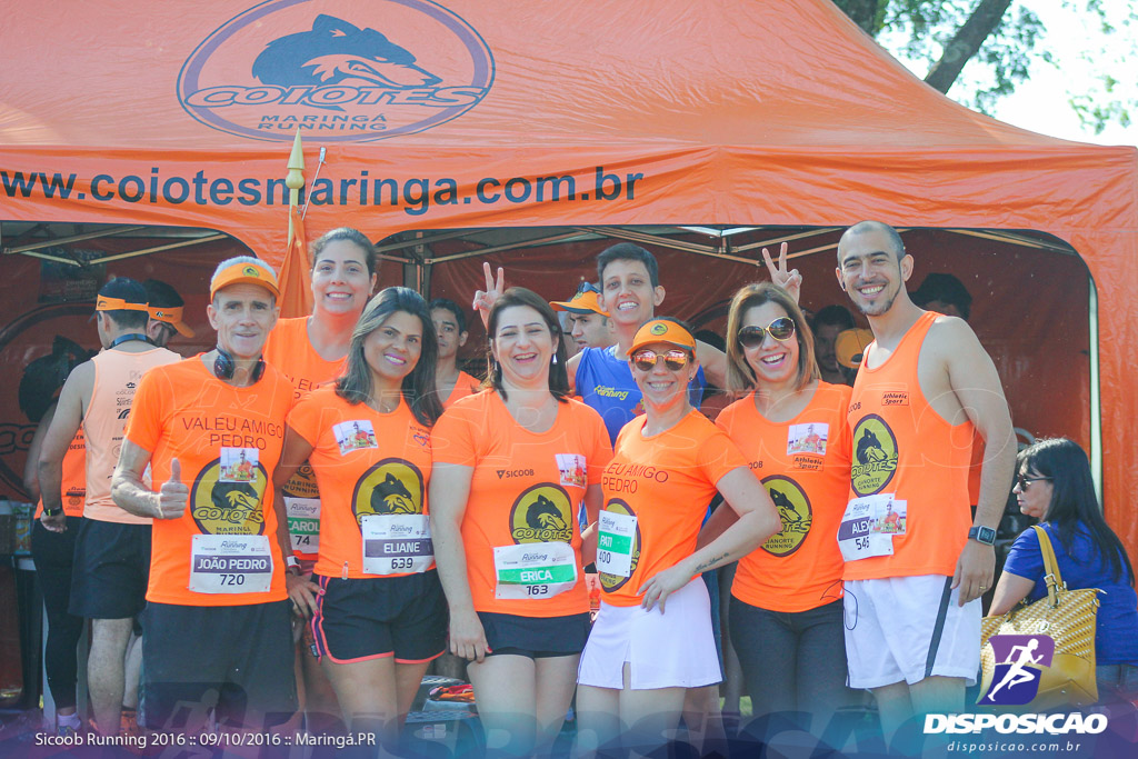 Sicoob Running: Prova Terezinha Guilhermina 2016