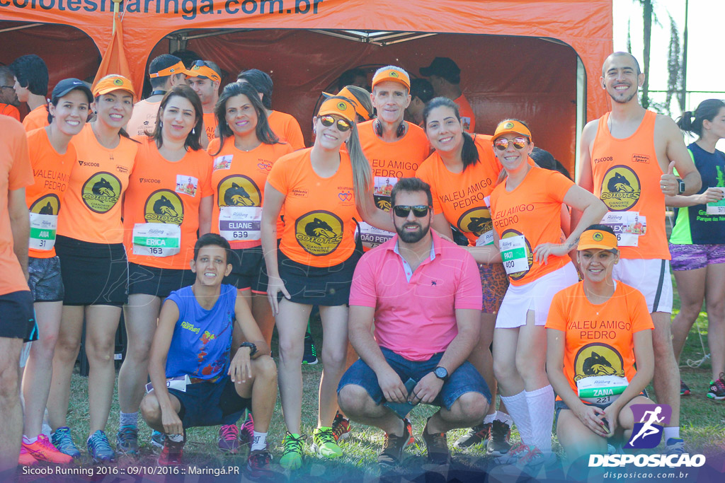 Sicoob Running: Prova Terezinha Guilhermina 2016