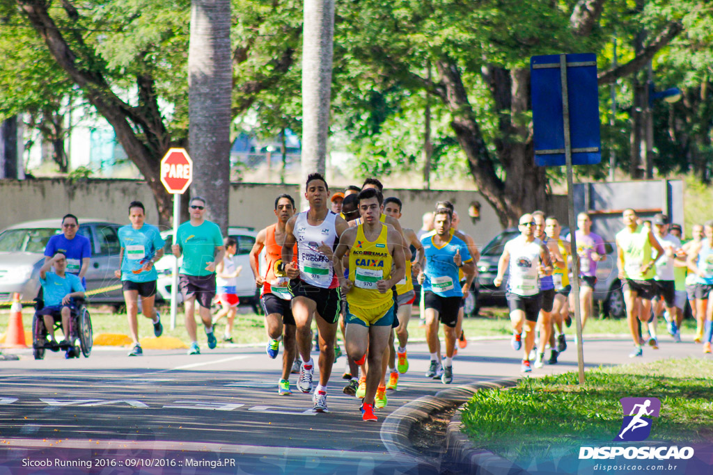 Sicoob Running: Prova Terezinha Guilhermina 2016