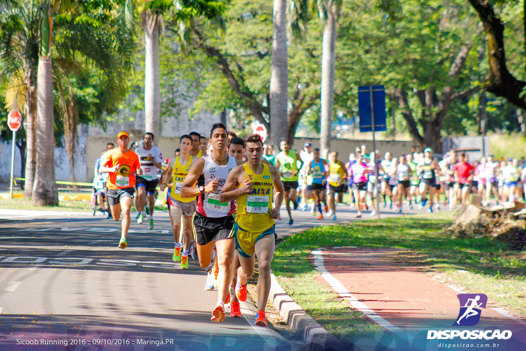 Sicoob Running: Prova Terezinha Guilhermina 2016