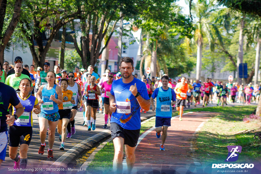 Sicoob Running: Prova Terezinha Guilhermina 2016