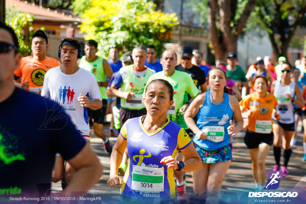 Sicoob Running: Prova Terezinha Guilhermina 2016