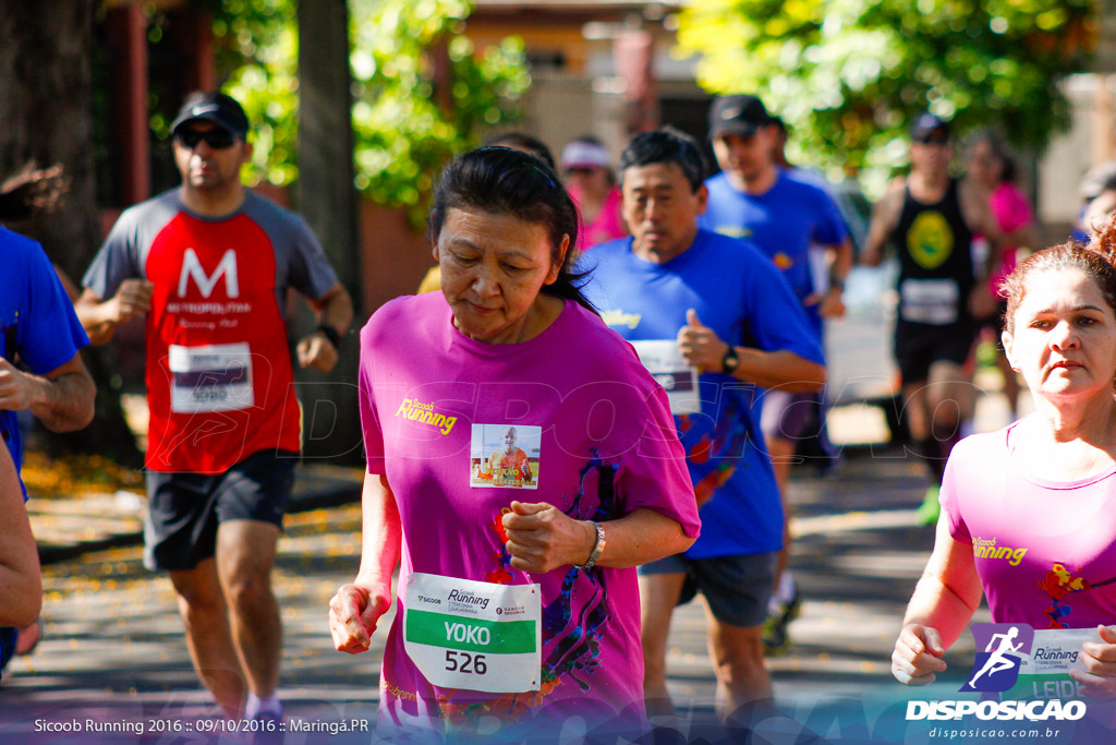 Sicoob Running: Prova Terezinha Guilhermina 2016